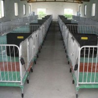 重庆母猪保育床定做~万晟畜牧设备公司生产镀锌仔猪保育床