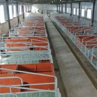 浙江猪用限位栏加工厂家_沧州万晟畜牧设备加工复合板定位栏