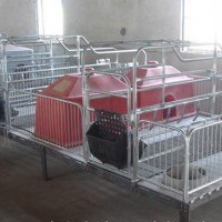 河南母猪保育床定制~沧州万晟畜牧设备公司定做猪仔保育床