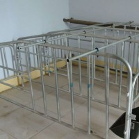 江西母猪限位栏加工|沧州万晟畜牧设备订制猪用限位栏