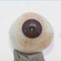 甘肃假眼片怎么戴~泊头艺水碧天订做异型义眼