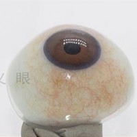 内蒙古高分子义眼与真眼的区别_艺水碧天订做异型义眼