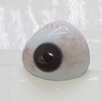 安徽义眼片加工|泊头市艺水碧天公司订做异型义眼