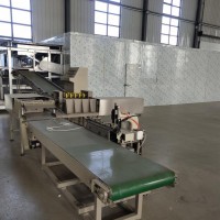河南蜡扳成型机定做-天诚机械加工石蜡成型机