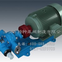 浙江不锈钢齿轮泵批发_泊头特种泵阀厂价直营KCB齿轮泵