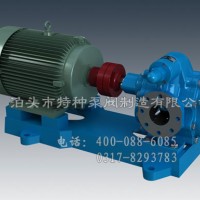 山东不锈钢油泵订制_泊特泵厂家直营齿轮泵