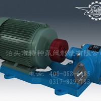 江西齿轮油泵订制生产-泊头特种泵厂价零售齿轮油泵