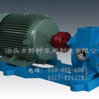 内蒙古不锈钢齿轮泵定制/泊头特种泵厂家零售可调压式齿轮油泵