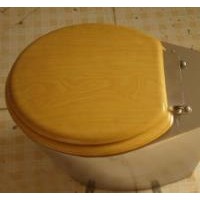 江西发泡蹲便器定做-沧州丰南环保公司订制带水箱水冲坐便器